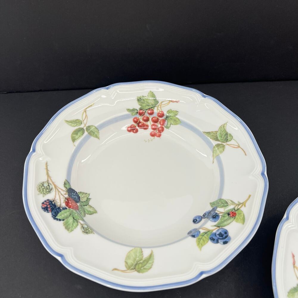 Villeroy & Boch Cottage Fine China Rimmed Soup Bowl Plate. Set of 2 - Picture 5 of 8